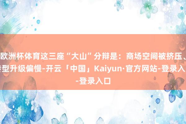 欧洲杯体育这三座“大山”分辩是：商场空间被挤压、转型升级偏慢-开云「中国」Kaiyun·官方网站-登录入口