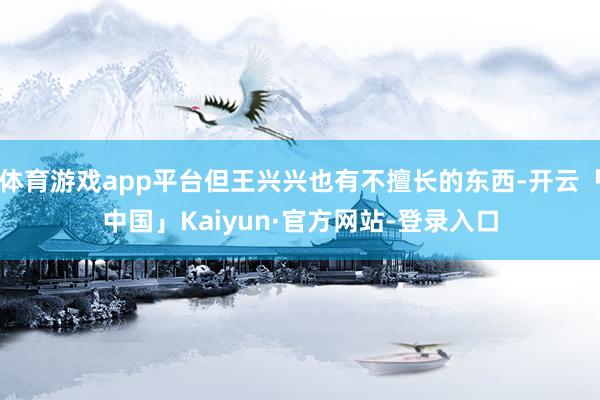 体育游戏app平台但王兴兴也有不擅长的东西-开云「中国」Kaiyun·官方网站-登录入口