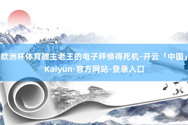 欧洲杯体育摊主老王的电子秤倏得死机-开云「中国」Kaiyun·官方网站-登录入口