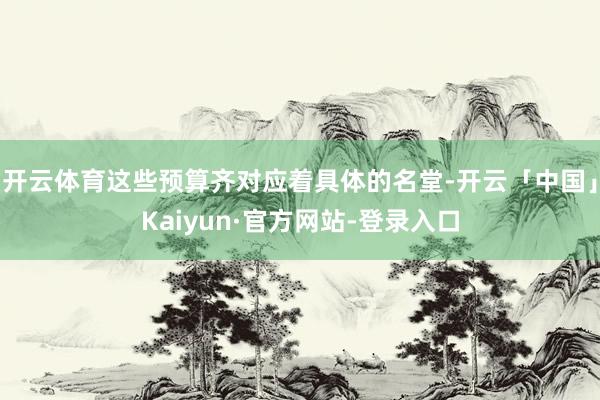 开云体育这些预算齐对应着具体的名堂-开云「中国」Kaiyun·官方网站-登录入口